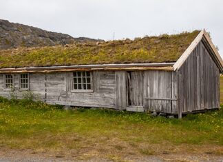 Jak pozbyć się darni? Jak pozbyć się darni?