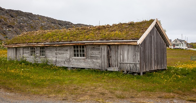 Jak pozbyć się darni? Jak pozbyć się darni?