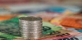 Ile można zarobić na koszeniu trawy?