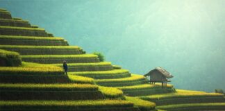 Czym pokryć taras tanio?