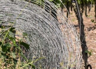 Jak odgrodzić się od sąsiada na działce rod?