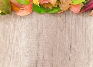 Czy można postawić wiatę przy granicy działki? Czy można postawić wiatę przy granicy działki?