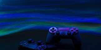 Co zrobić z psem po śmierci?