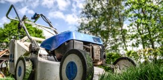 Ile zarabia na godzinę ogrodnik?