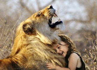 Jak zrobić duży ogród? Jak zrobić duży ogród?