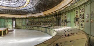 Ile zarabia inspektor zieleni?