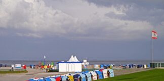 Czy można mieć toaletę na działce ROD?