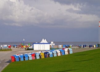 Czy można mieć toaletę na działce ROD?