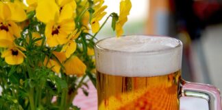 Kiedy zrobić ogródek warzywny?