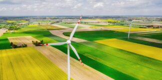 Co uprawiać na małej działce?