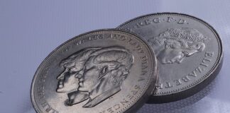 Na jakie imiona reagują psy?