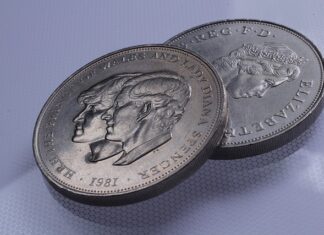 Na jakie imiona reagują psy?