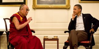 Czy Max to imię dla psa?