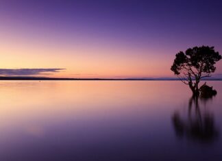 Jak często wymienia się wodę w basenie? Jak często wymienia się wodę w basenie?