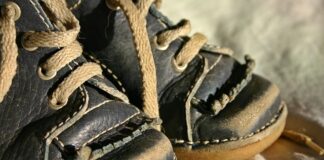 Jak nauczyć psa pływać?