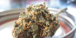 Czym się rozni ekstrakt waniliowy od aromatu?