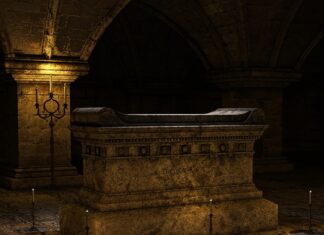 Jak często zmieniać legowisko dla psa? Jak często zmieniać legowisko dla psa?