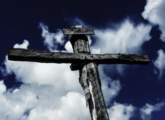 Co to jest Dory? Co to jest Dory?