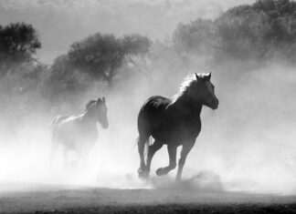 Czy można palić aromat do ciast? Czy można palić aromat do ciast?