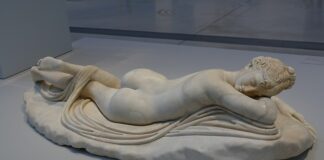 Ile lat żyją błazenki?