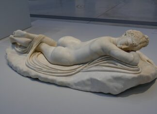 Ile lat żyją błazenki? Ile lat żyją błazenki?