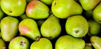 Jak zrobić gruszki w czekoladzie?