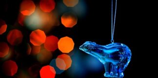 Co przygotowac na przyjscie gości?