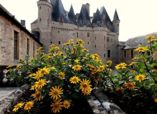 Czy paprykę faszerowaną piecze się pod przykryciem? Czy paprykę faszerowaną piecze się pod przykryciem?