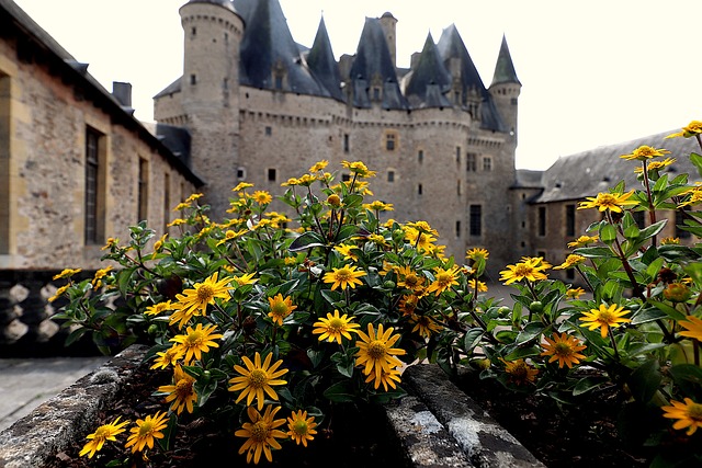 Czy paprykę faszerowaną piecze się pod przykryciem? Czy paprykę faszerowaną piecze się pod przykryciem?