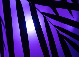 Co się dzieje z neonówką?