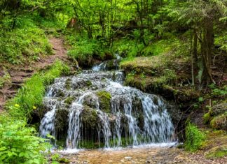 Dlaczego warto jesc mieszanke studencka? Dlaczego warto jesc mieszanke studencka?