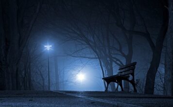 Jakie są polskie przystawki?