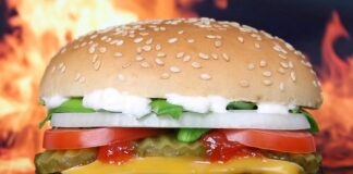 Czy w Polsce rosną baobaby?