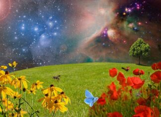 W którym roku było powstanie Mahdiego?