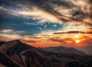 Czy złota rybka może być w kuli?