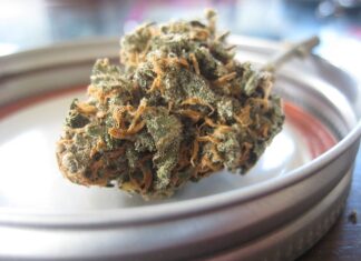 Czy ekstrakt waniliowy to samo co aromat waniliowy? Czy ekstrakt waniliowy to samo co aromat waniliowy?