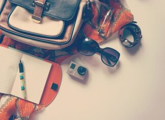 Jakie są akcesoria dla psów?